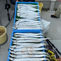 釣人家 釣果