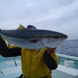 ひな丸 釣果