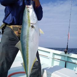 ひな丸 釣果