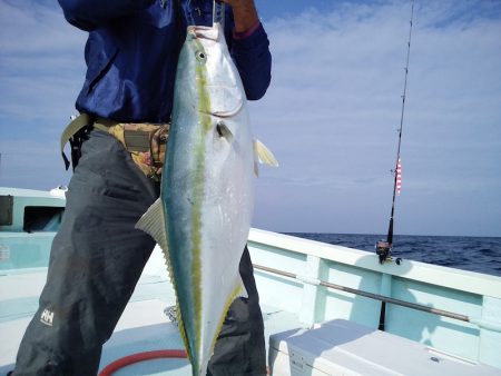 ひな丸 釣果