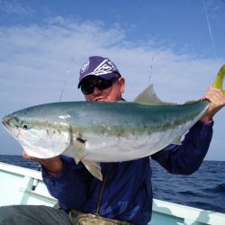 ひな丸 釣果