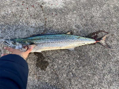 今年最後の釣行