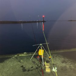 今年の釣り納めは、深日港にて、カレイ釣り