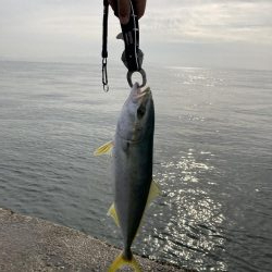 満足の釣り納め