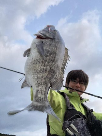 ヒラマサ、青物狙い