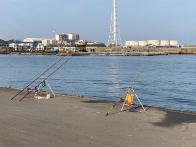 今年の釣り納めは、深日港にて、カレイ釣り