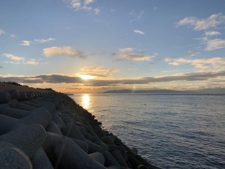 ツバスが釣れた！