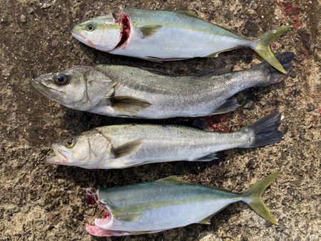 満足の釣り納め