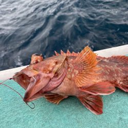 大原沖、ひとつテンヤ