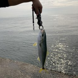 満足の釣り納め