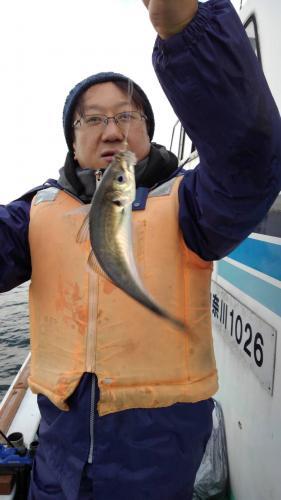 あい川丸 釣果