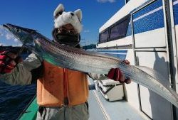 ＫＯＮＡＹＡｰＭＡＲＵ（こなや丸） 釣果