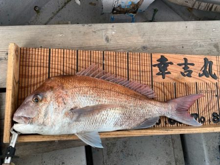 幸吉丸 釣果