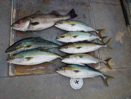 FISHING RISKY 釣果