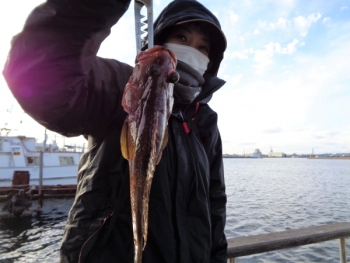 鯛紅丸 釣果