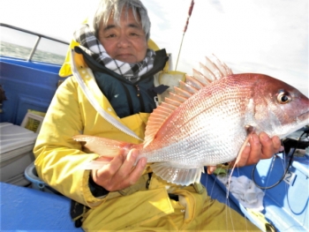 鯛紅丸 釣果