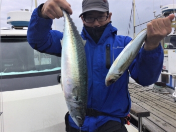 鯛紅丸 釣果