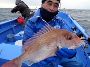 鯛紅丸 釣果