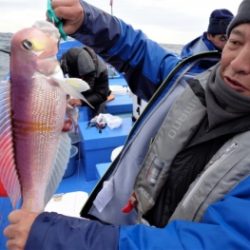 鯛紅丸 釣果