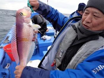 鯛紅丸 釣果