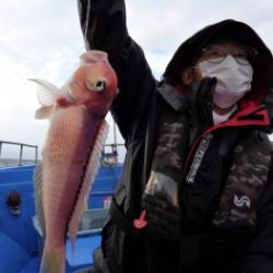 鯛紅丸 釣果