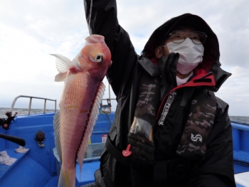 鯛紅丸 釣果