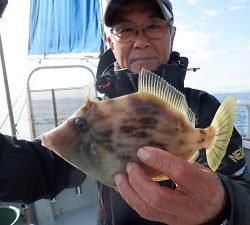 遊漁船 幸友丸 釣果