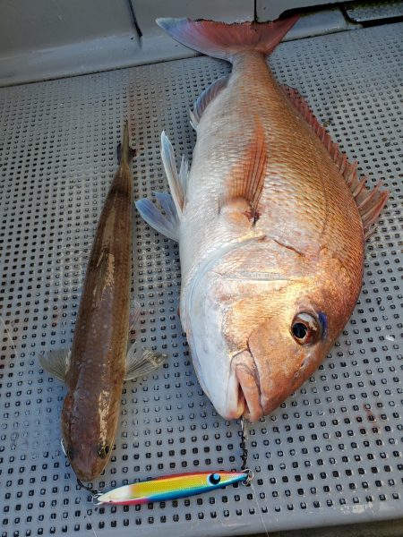 珀宝丸 釣果