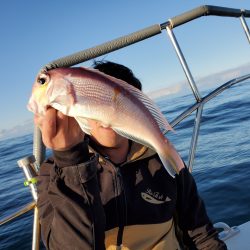 珀宝丸 釣果