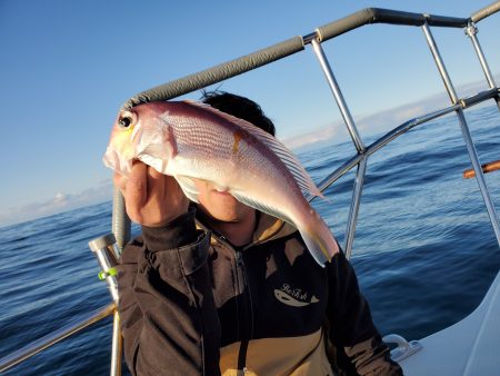 珀宝丸 釣果