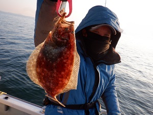 遊漁船 幸友丸 釣果