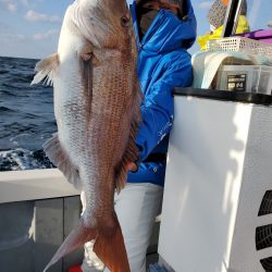 珀宝丸 釣果