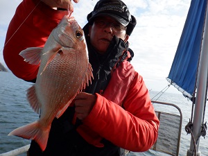 遊漁船 幸友丸 釣果