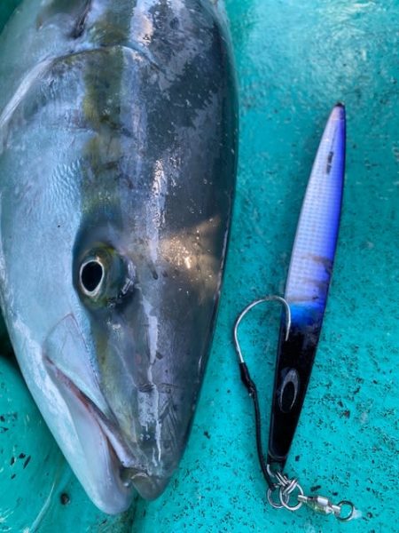 広進丸 釣果