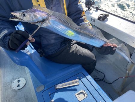 夢丸 釣果