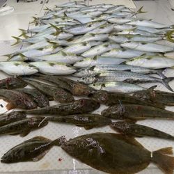 ミタチ丸 釣果