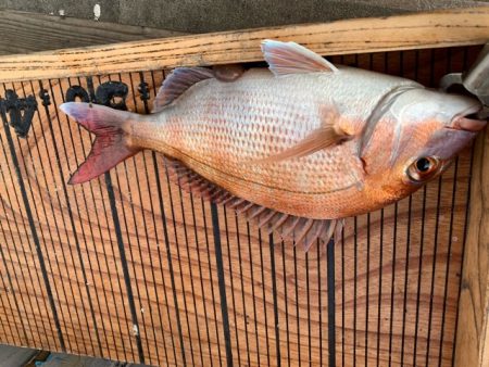 幸吉丸 釣果