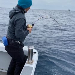 へいみつ丸 釣果