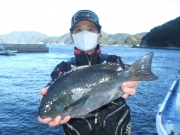 春日丸 釣果