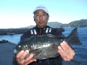 春日丸 釣果