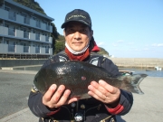 春日丸 釣果