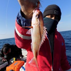 フィッシングボート空風（そらかぜ） 釣果