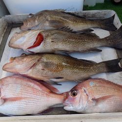 フィッシングボート空風（そらかぜ） 釣果