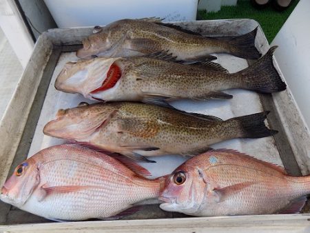 フィッシングボート空風（そらかぜ） 釣果