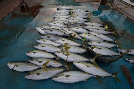 アジアマリンサービス 釣果