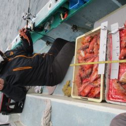 まとばや 釣果