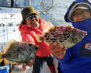 白墨丸 釣果