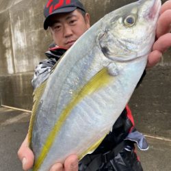 松栄丸 釣果