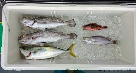 火遠理丸（ほおりまる） 釣果