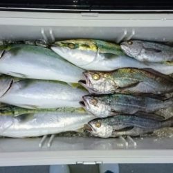 火遠理丸（ほおりまる） 釣果